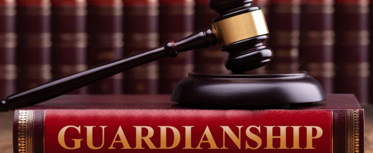 Guardianship Textbook with gavel